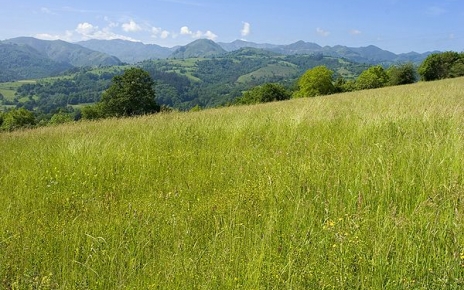 Esta es una zona local, el País de la Sidra de Picos de Europa