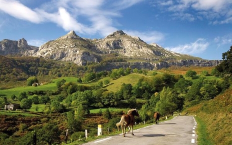 Caballos en Liérganes, a 10 minutos de la casa