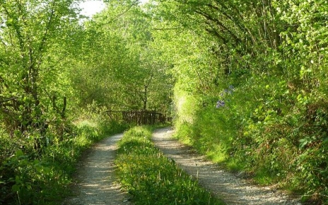 Llegando a su cabaña pasiega