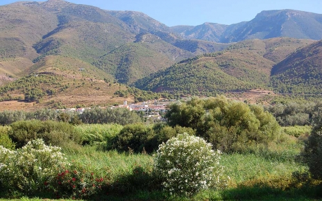 Por el valle del río Guadalfeo