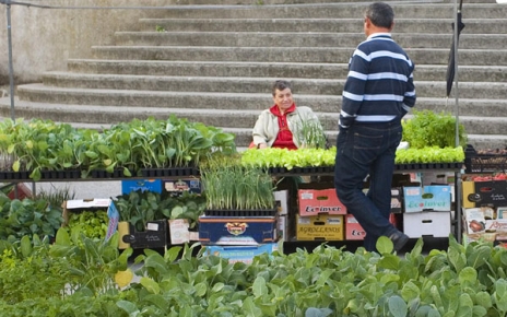 Street market in Betanzos