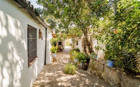 Patio / side terraces