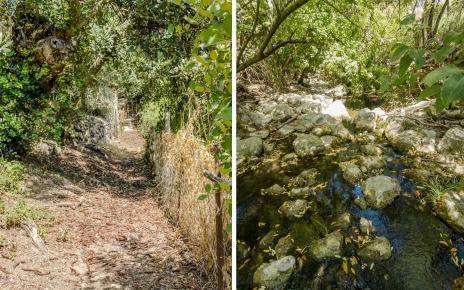 Walks from your doorstep