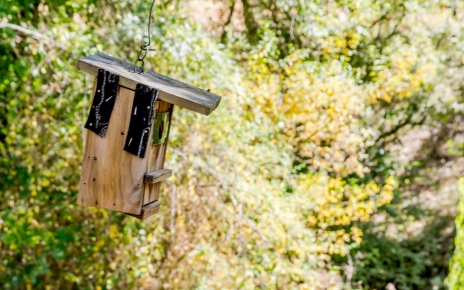 Enjoy the surrounding nature