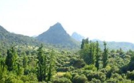 Views from the terrace 