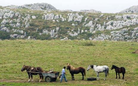 Traditional farming near Cuevas de Mar