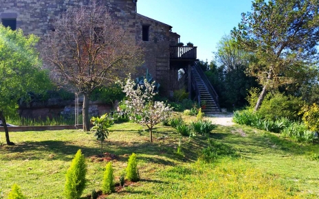 The garden in early Spring