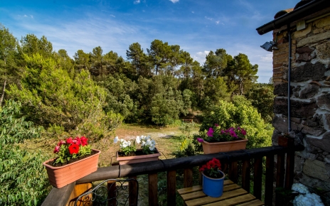 Good privacy surrounded by Mediterranean forests