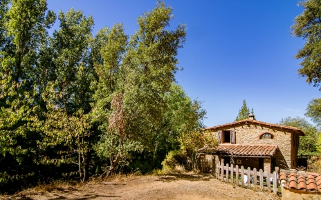 A sweet traditional cottage