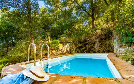 The 4 metre long pool and its natural surrounding