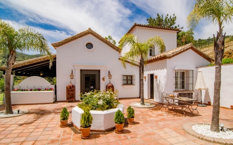 Front patio / reception