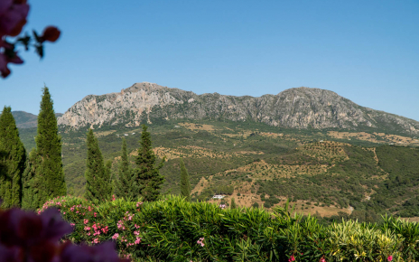 Looking onto Crestellina mountains