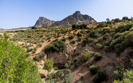 A short walk from the villa takes you to a small cave