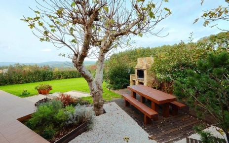 Barbecue area shaded by old fig tree