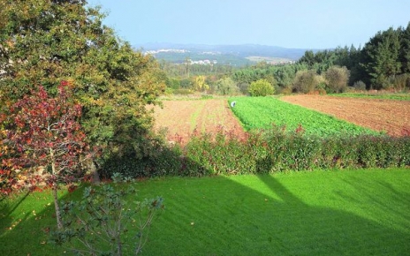Views to cultivated fields from terrace