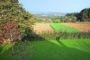 Vistas a los campos de cultivo desde la terraza.