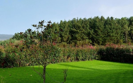 Good size lawned gardens