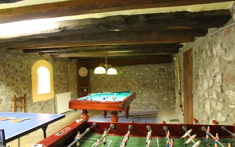 Table tennis, soccer and a snooker too