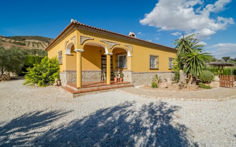 Casa tradicional situada entre olivares