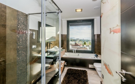 Bañera con TV y ducha de hidromasaje