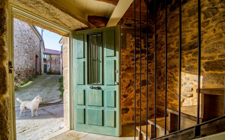 Perros amigables merodean por el pequeño pueblo