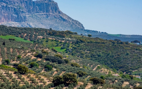 Tu entorno junto a las montañas Torcal