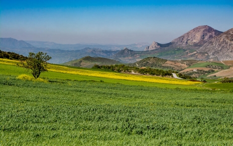 Tus vistas hacia el oeste en primavera