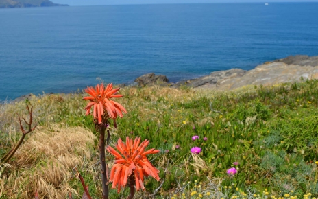 La costa mediterránea de Cataluña está a solo 40 minutos