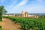 Paseos locales por viñedos y monasterios (ruta de la Cisterna)