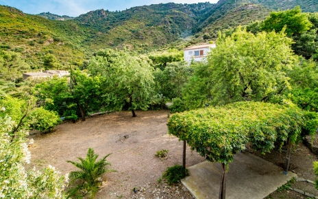 House gardens seen from the dining room