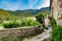 Your private walled gardens are just opposite 