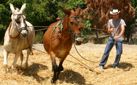 Locals in Portugos, La Taha, Alpujarras
