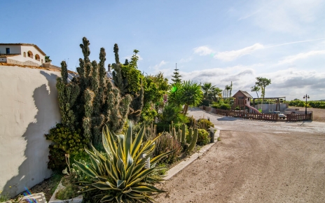 The mild Penedes climate 