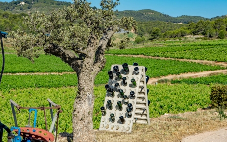 You'll enjoy the  DOC local wine