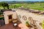 Views to vineyards