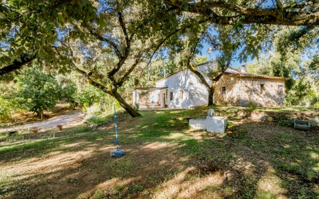 Children love the outdoor space