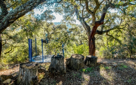 Outdoor games, in 2019 there was an elastic bed