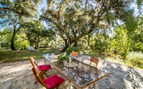 Main outdoor dining table