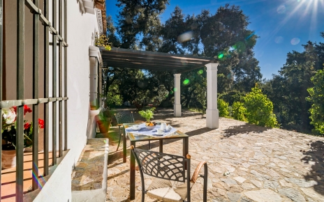 A very sunny terrace