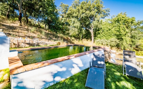 Natural pool filtered with an eco system 