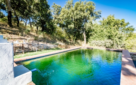 Eco pool has a natural system to filter the water  