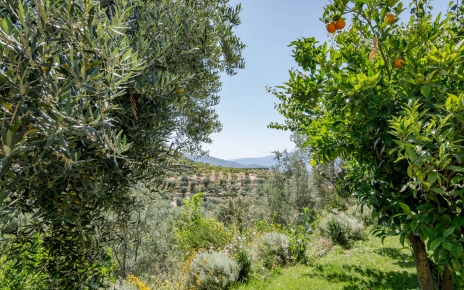 La propiedad está ubicada en una finca privada de naranjos y limoneros