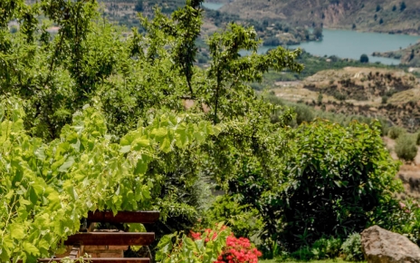 Vistas del Lago Beznar 