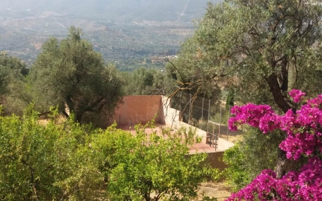 Cancha de pádel privada en la casa(bajo petición)