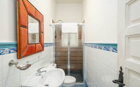 Bathroom (walk-in shower)
