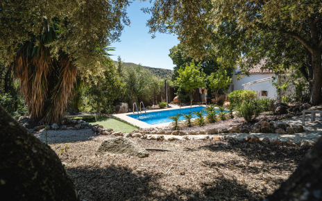 Pool, gardens and villa