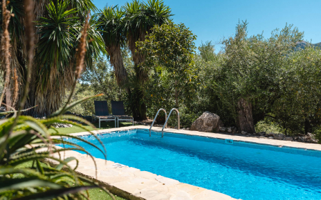 Salt-filtered pool