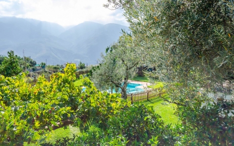 Pool seen from parking area