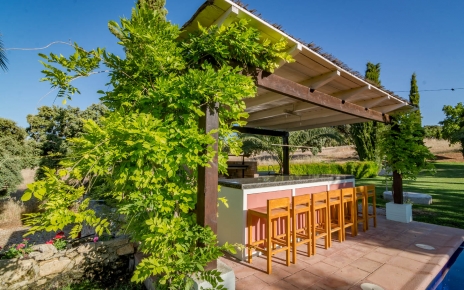 El bar de la piscina tiene una barbacoa profesional
