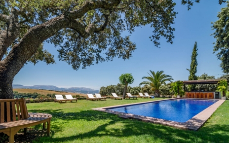 Tumbonas junto a la piscina